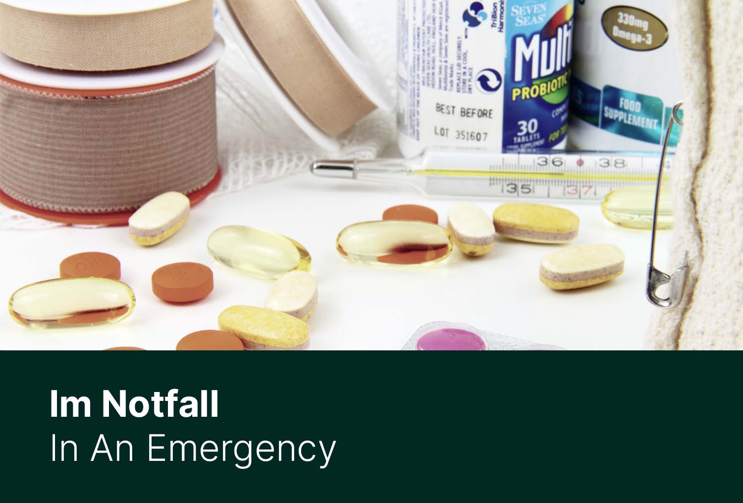 Im Notfall muss es schnell gehen! - Erste Hilfe für Pferde