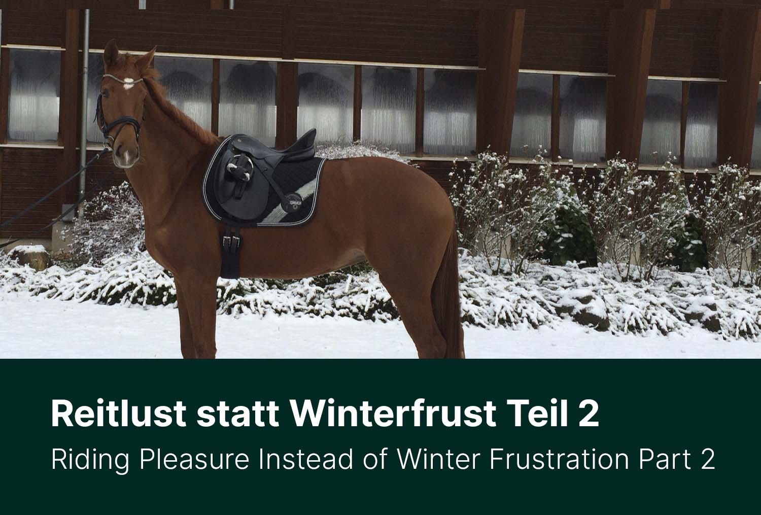 Reitlust statt Winterfrust - Teil 2