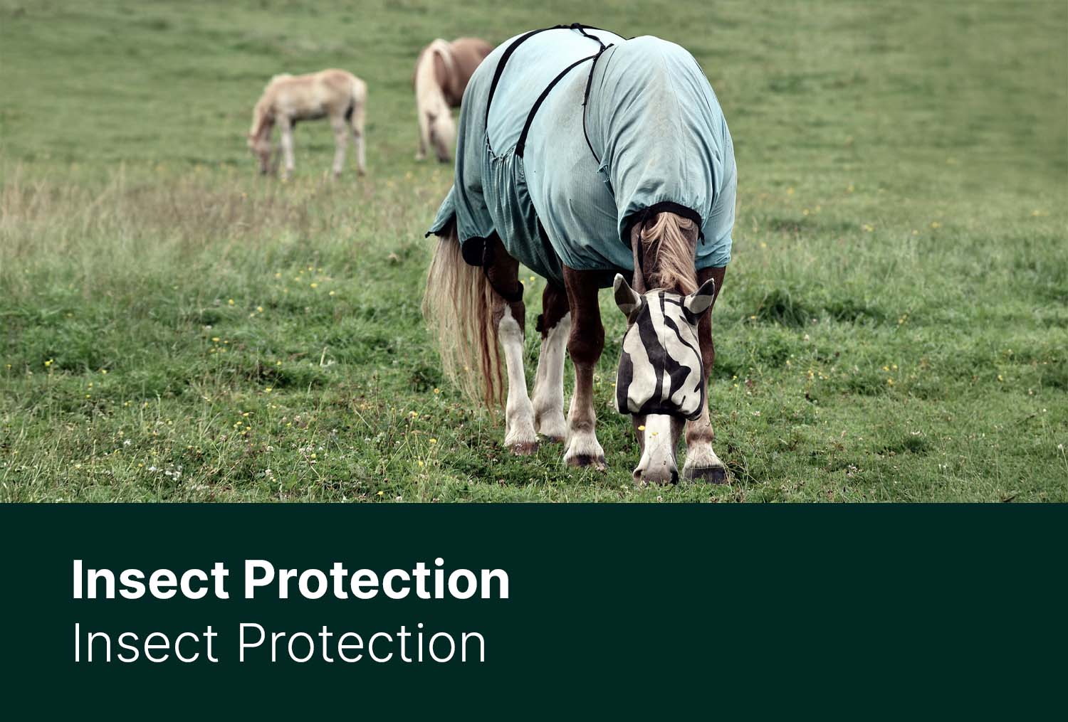 Insektenschutz - was tun gegen kleine Vampire?