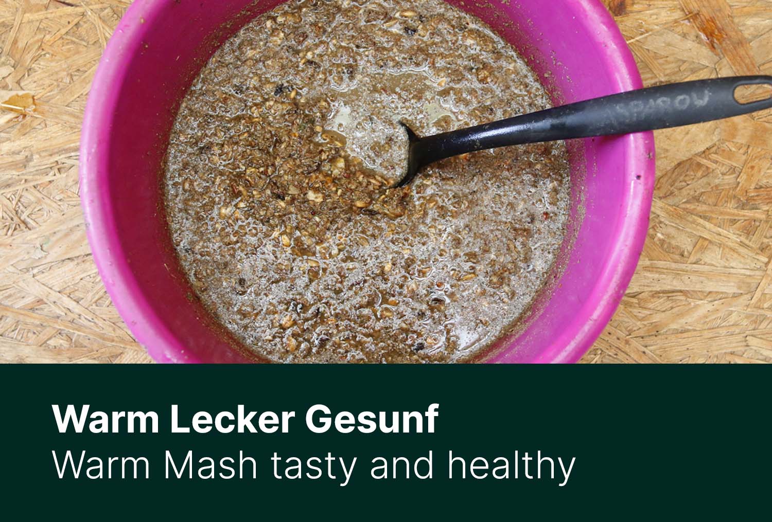 Mash - warm, lecker und gesund