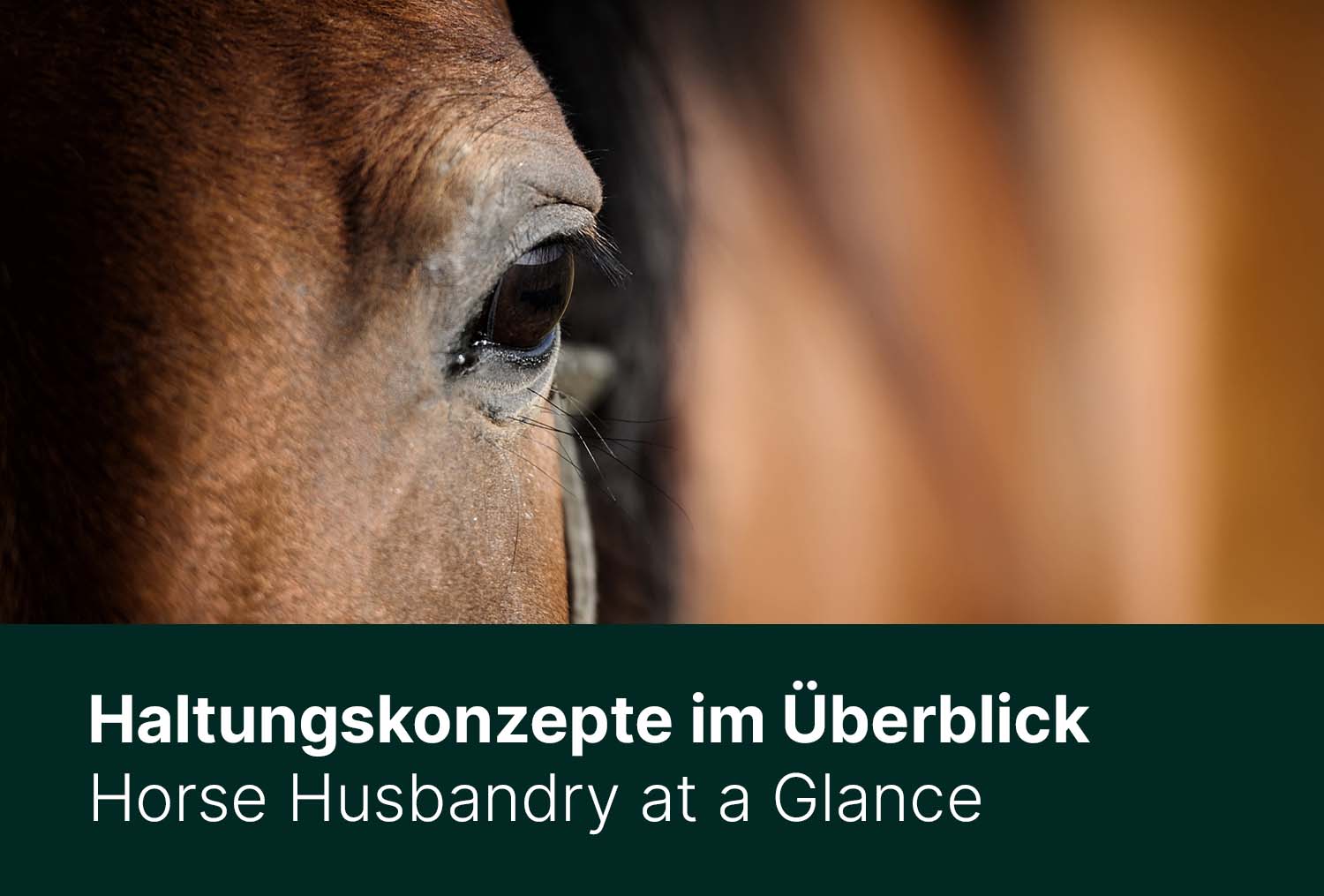 Haltungskonzepte im Überblick