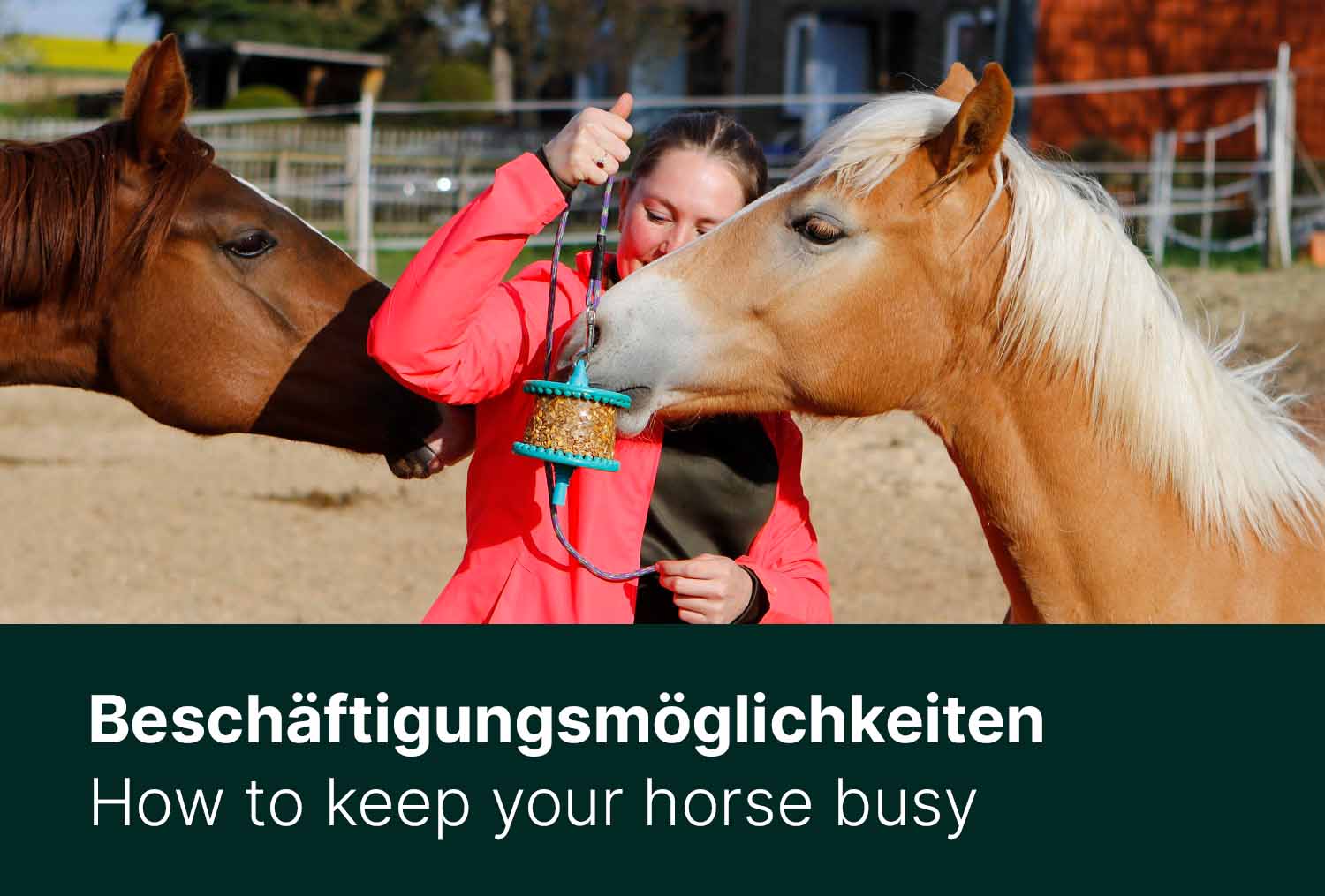 Beschäftigungsmöglichkeiten