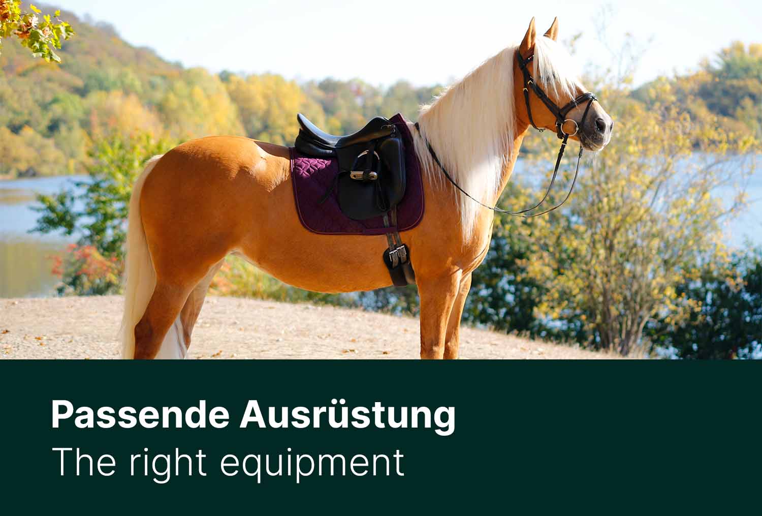 Passende Ausrüstung