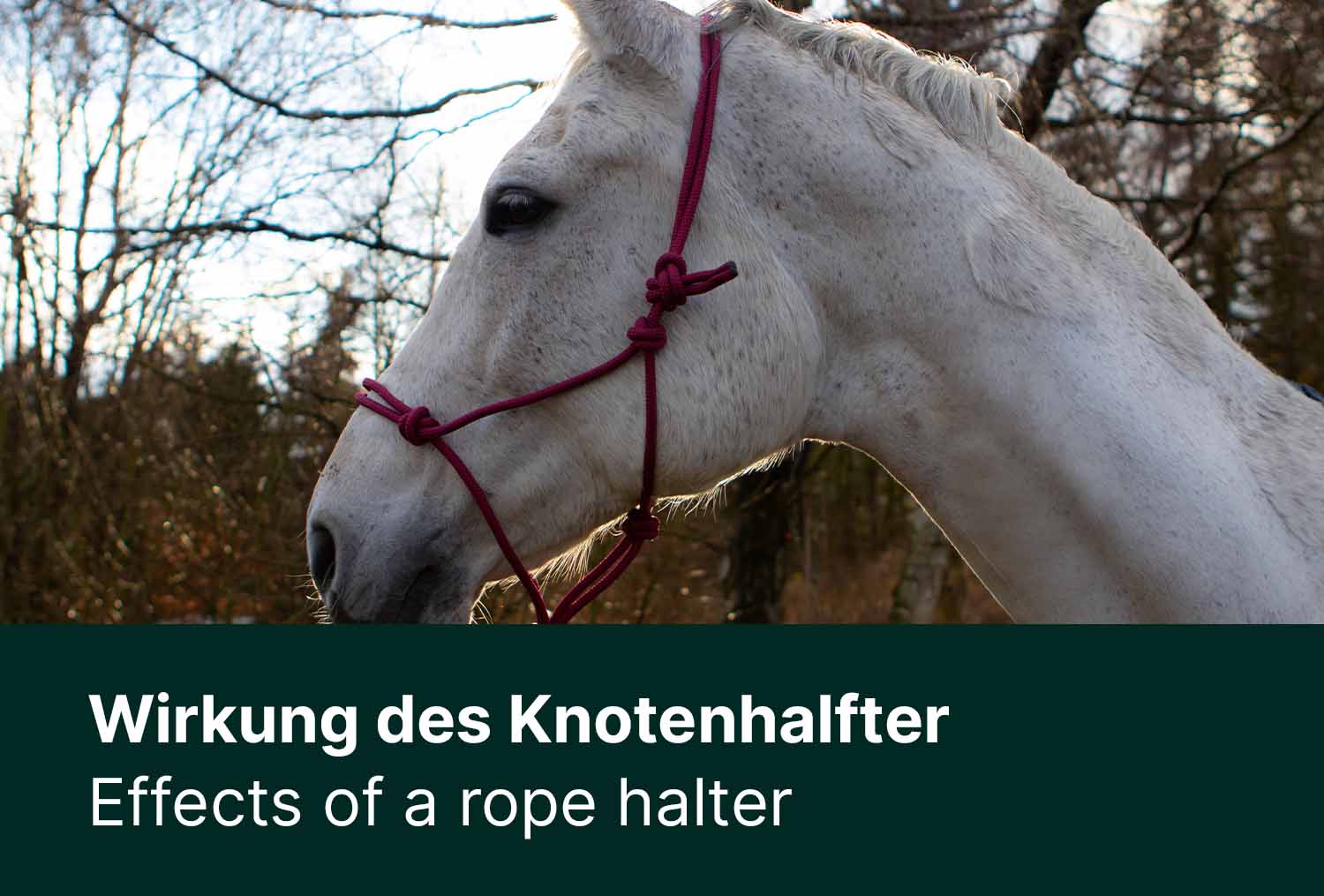 Gut geknotet - Einwirkung