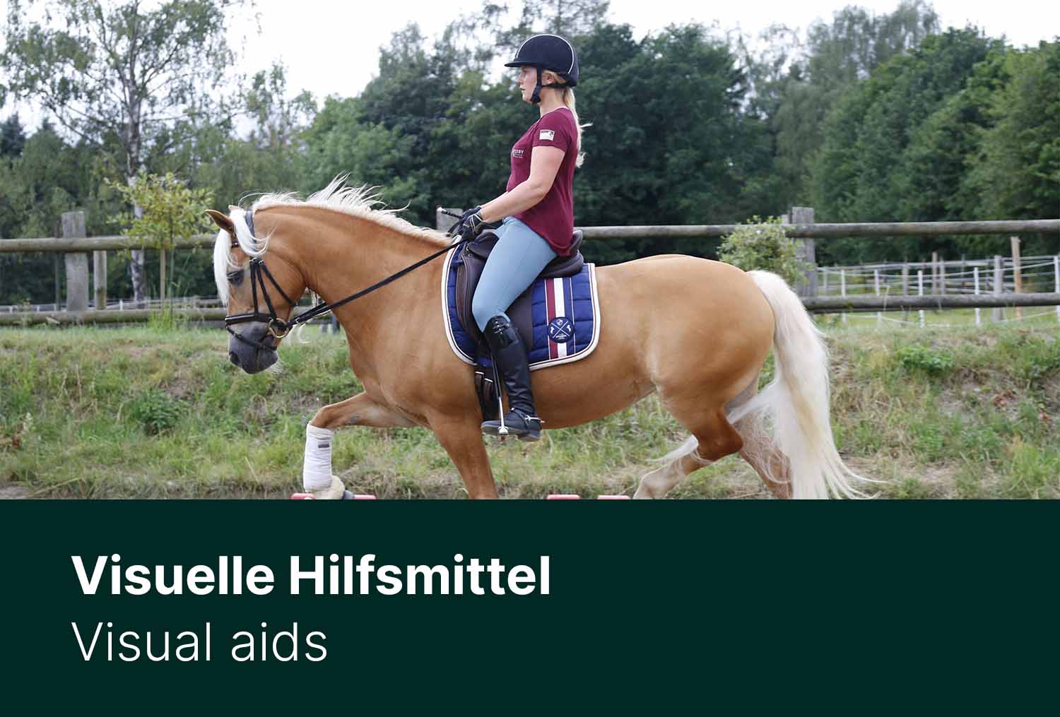 Reiten mit Stangen und Pylonen