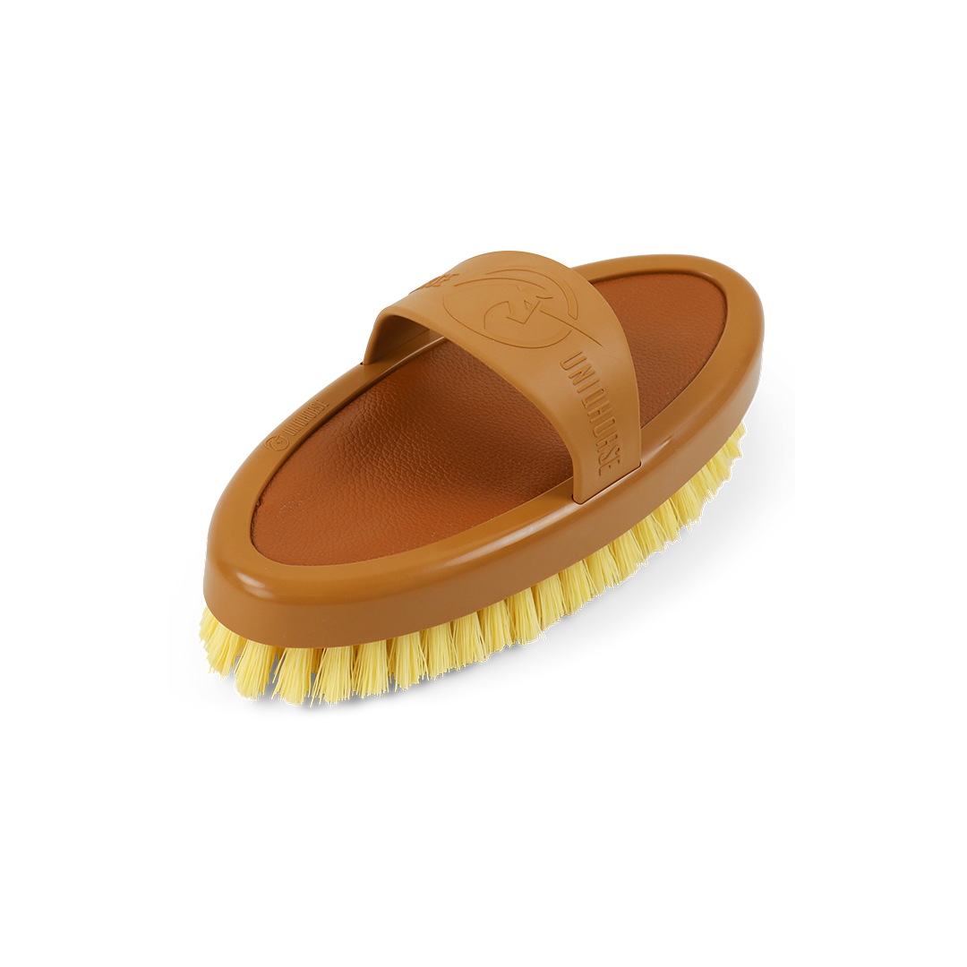 Wurzelbürste Canvas