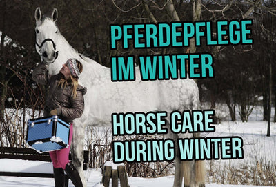 Pferdepflege im Winter
