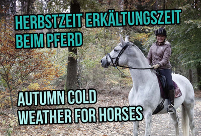 Herbstzeit – Erkältungszeit beim Pferd