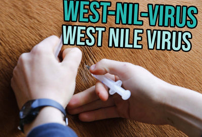 West-Nil-Virus – ein Überblick